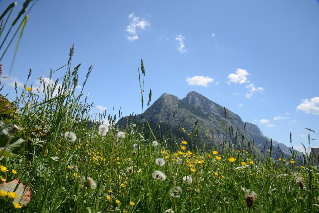 Der Alpenblick Hotel Sankt Johann im Pongau Exterior photo